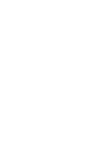 2018 B Corp Logo Sesimic