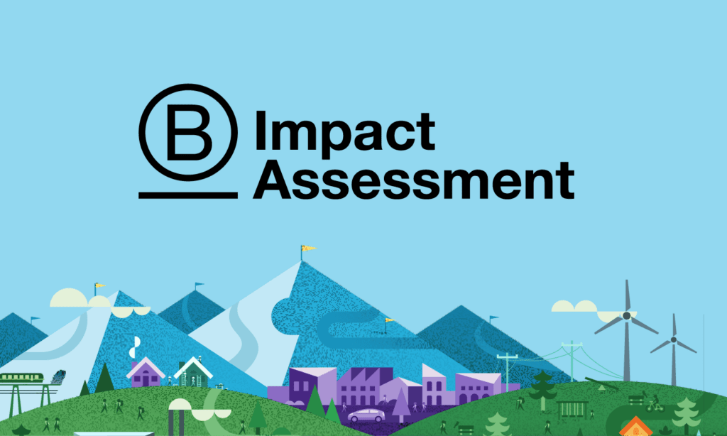 How Do I Get The B Impact Assessment Right First Time?