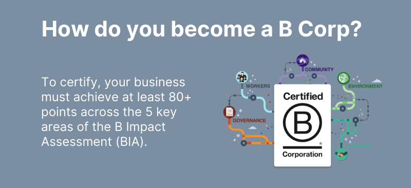 Seismic Infographic_How do you become a B Corp_Short.png