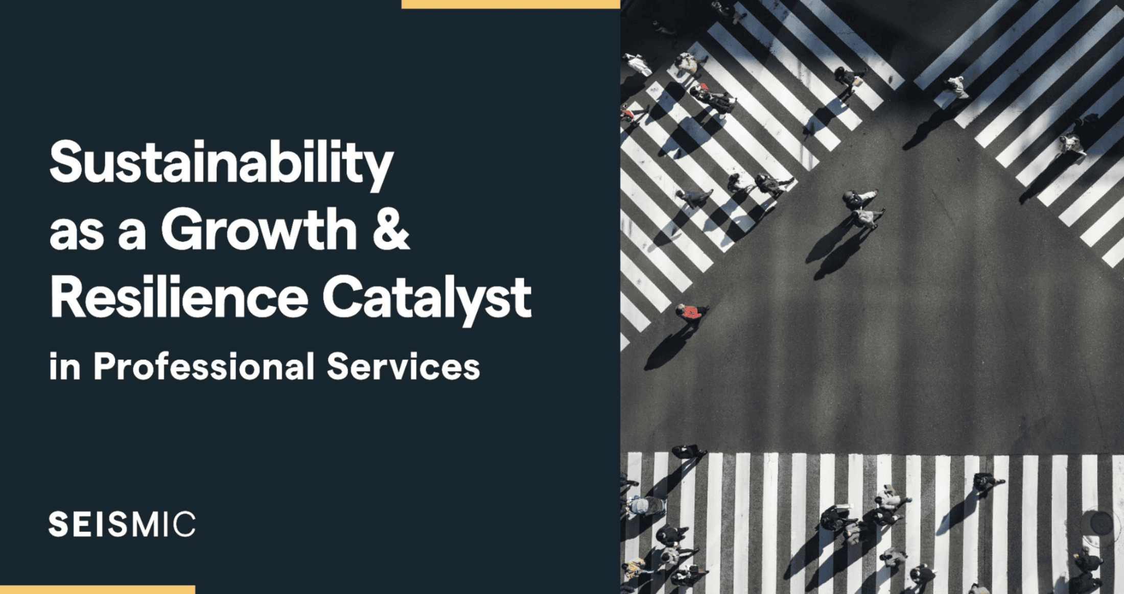 Sustainability as a Growth and Resilience Catalyst